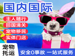 双流航空空运国际宠物托运 【国